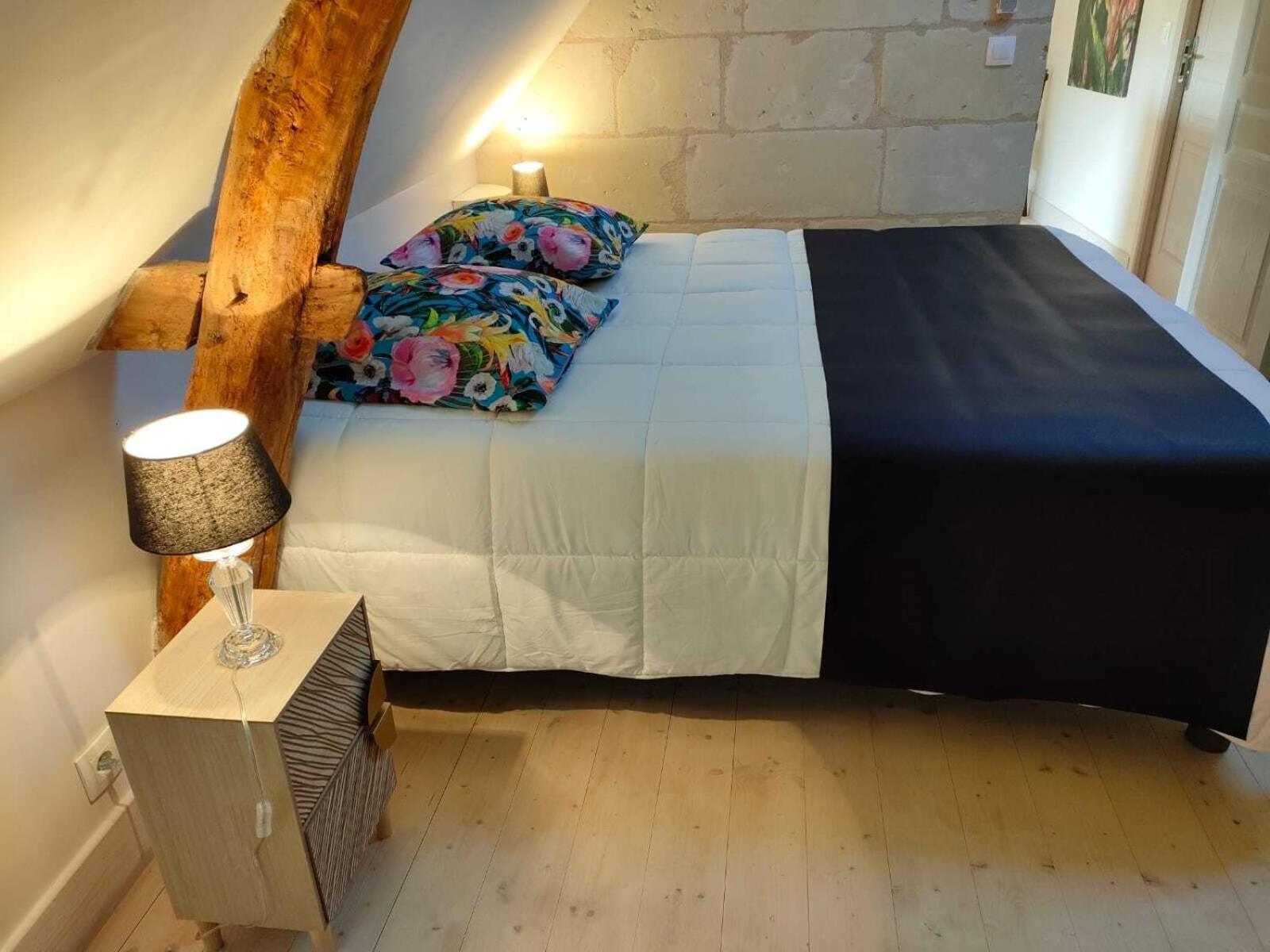 Rigny-Ussé Les Logis D Usseヴィラ 部屋 写真