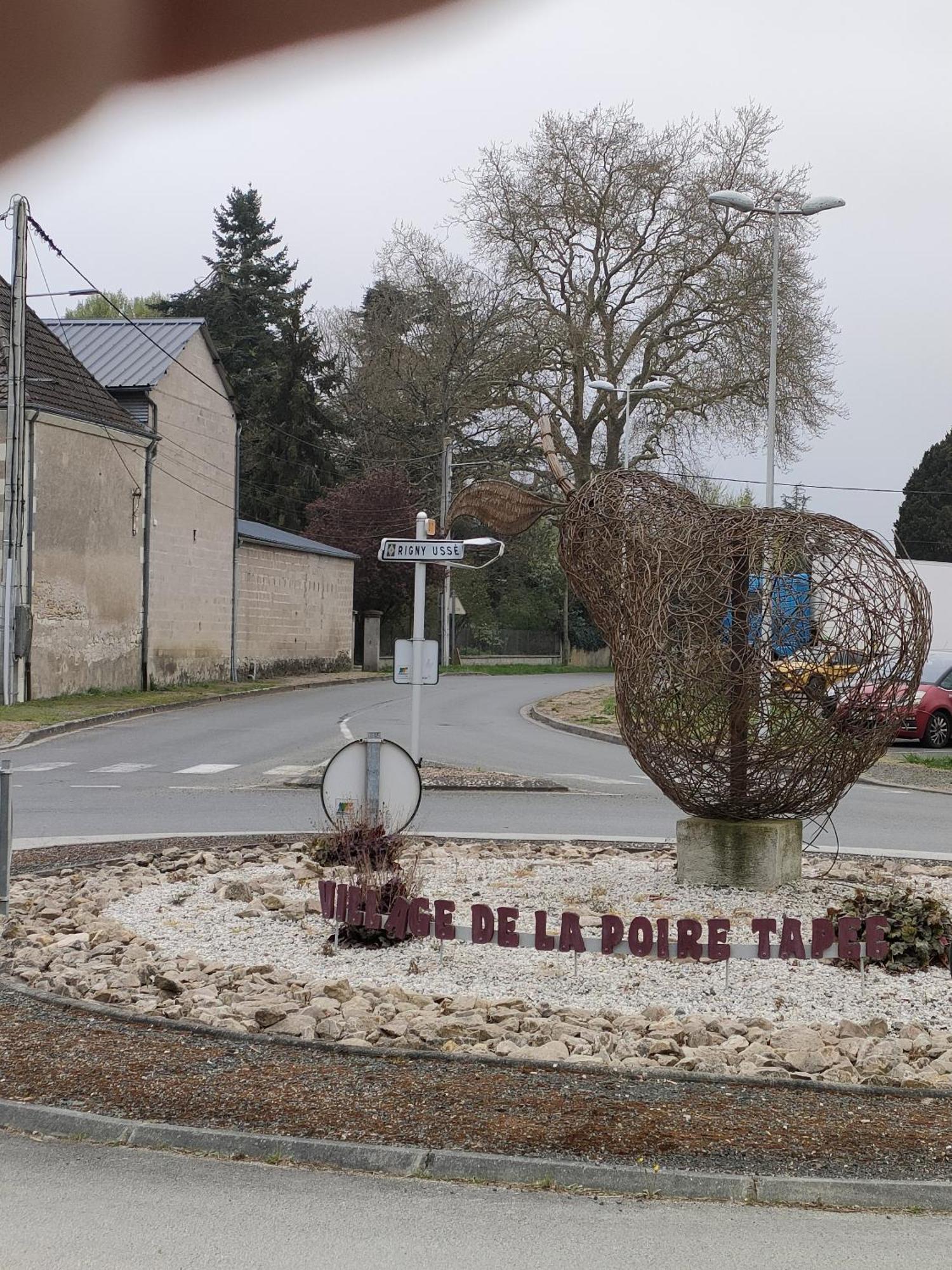 Rigny-Ussé Les Logis D Usseヴィラ エクステリア 写真
