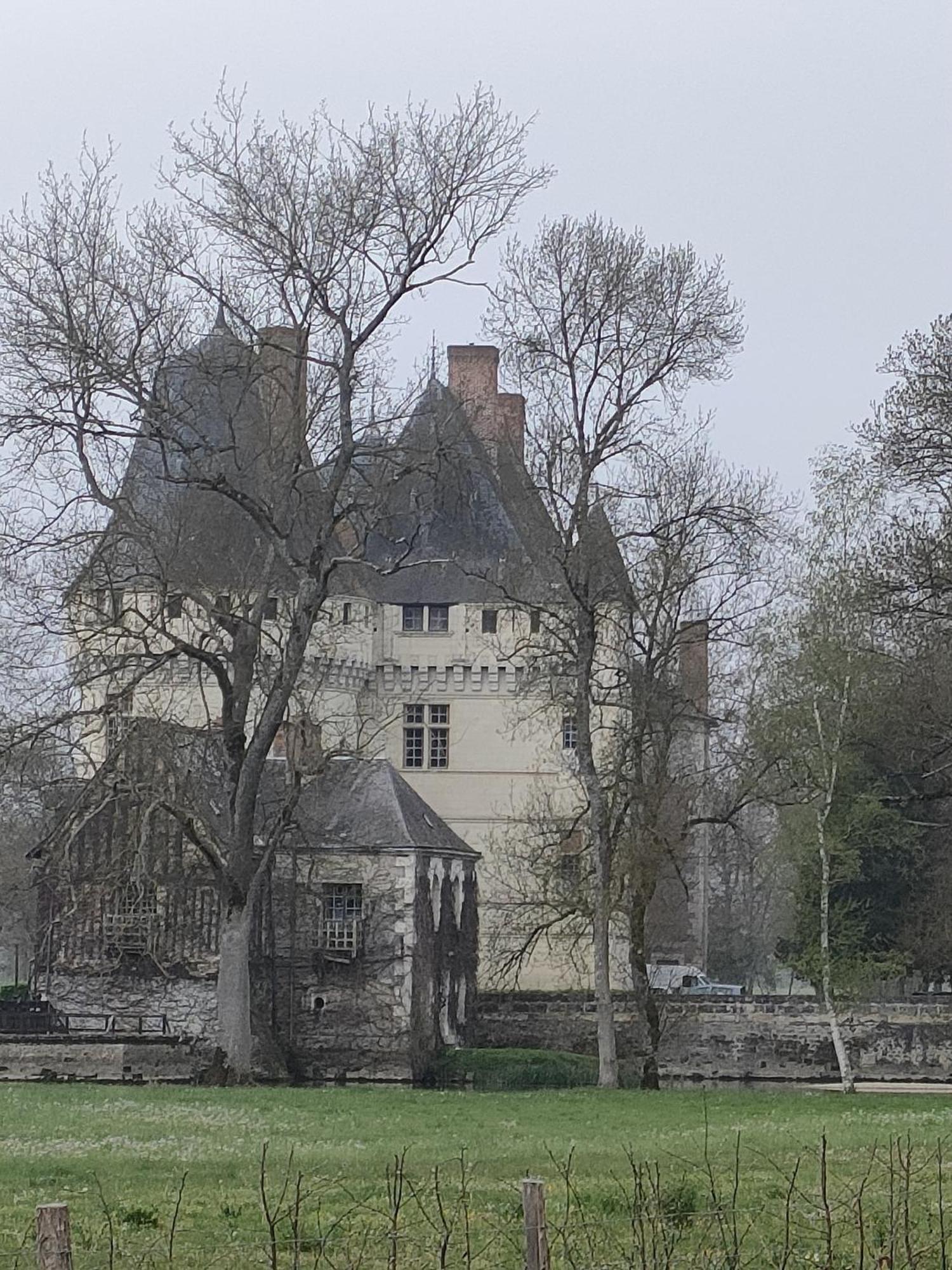 Rigny-Ussé Les Logis D Usseヴィラ エクステリア 写真